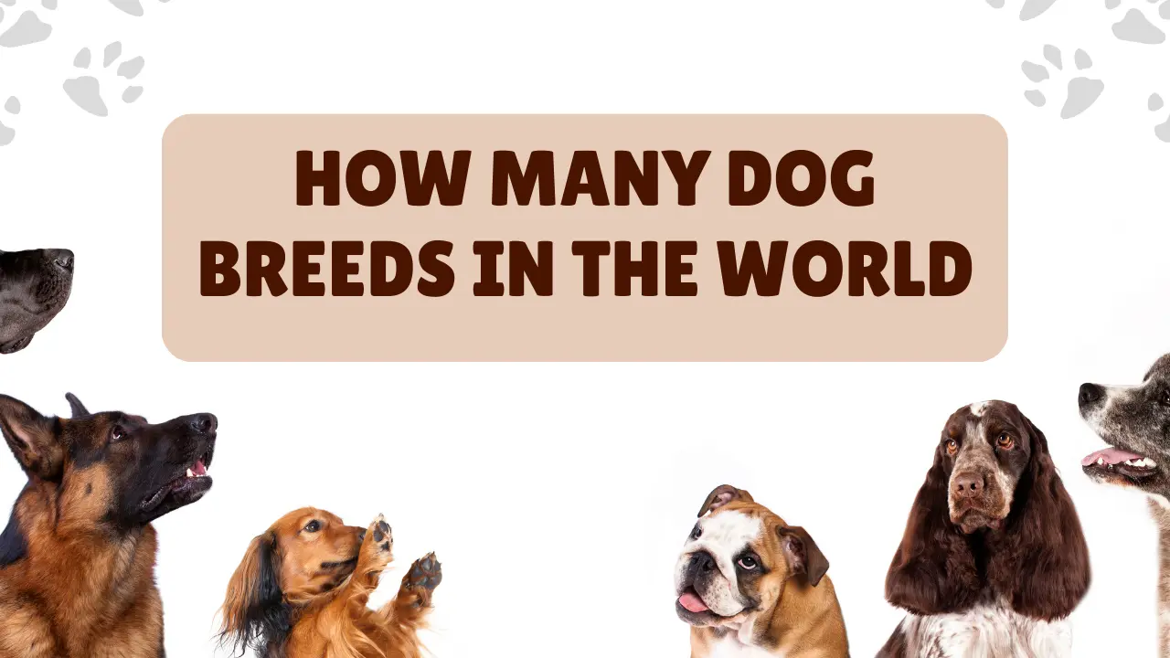how many dog breeds in the world