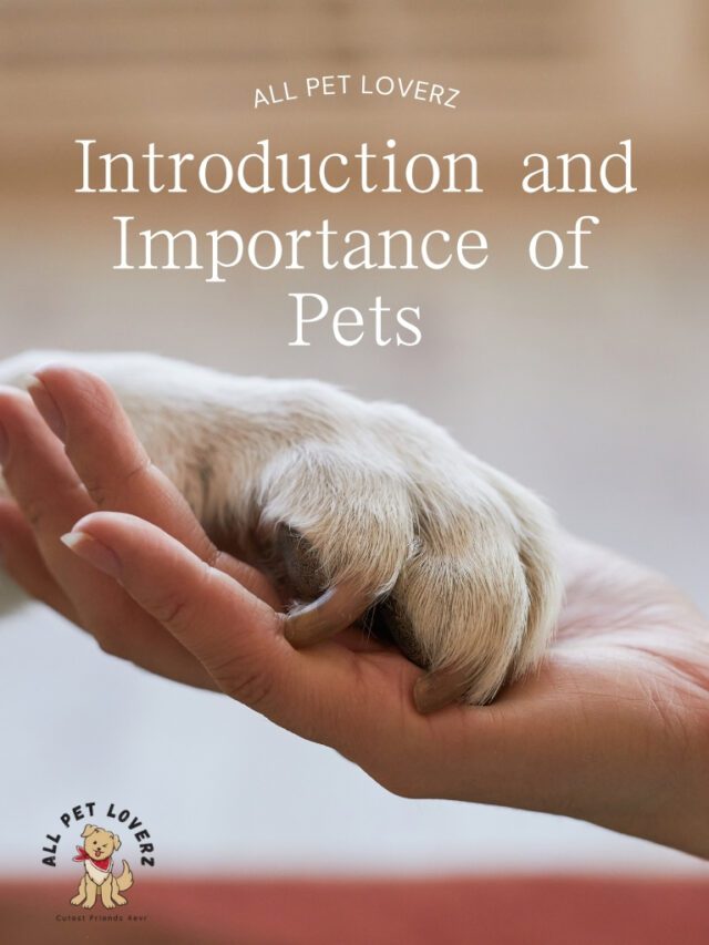 Introduction and Importance of pets