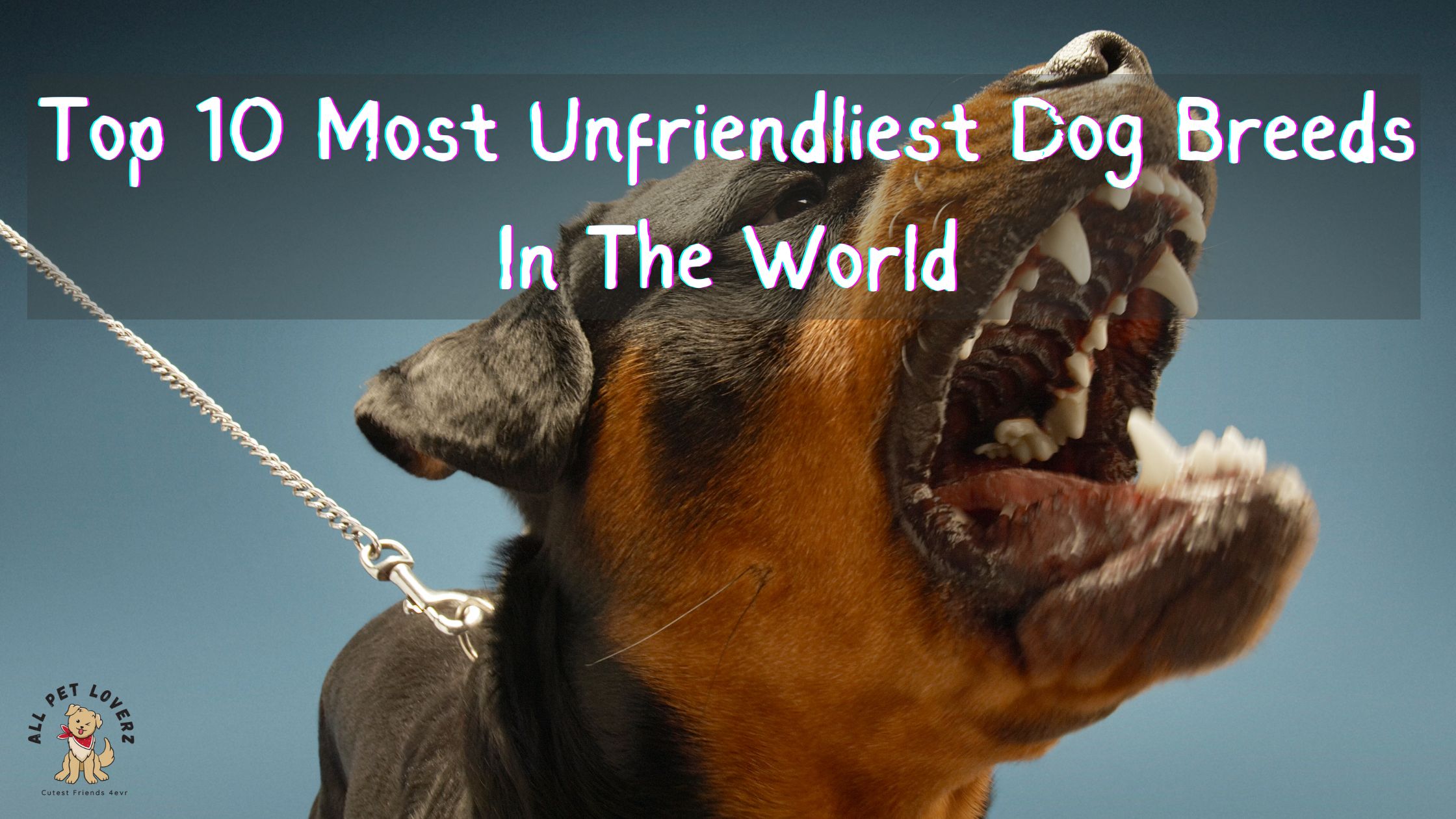 Most Unfriendliest Dog Breeds in the World