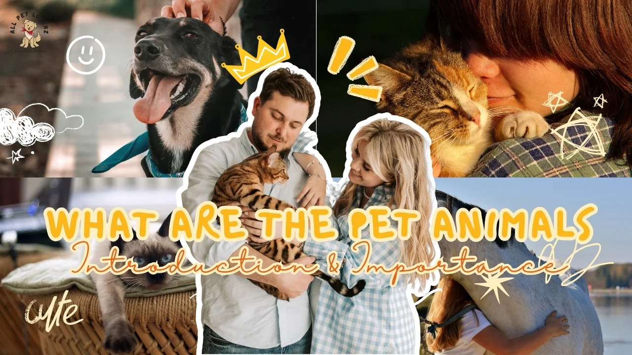 What are the pet animals 1