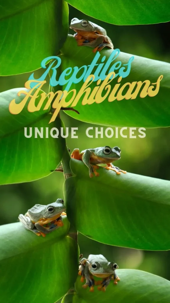 reptiles amphibians unique choices