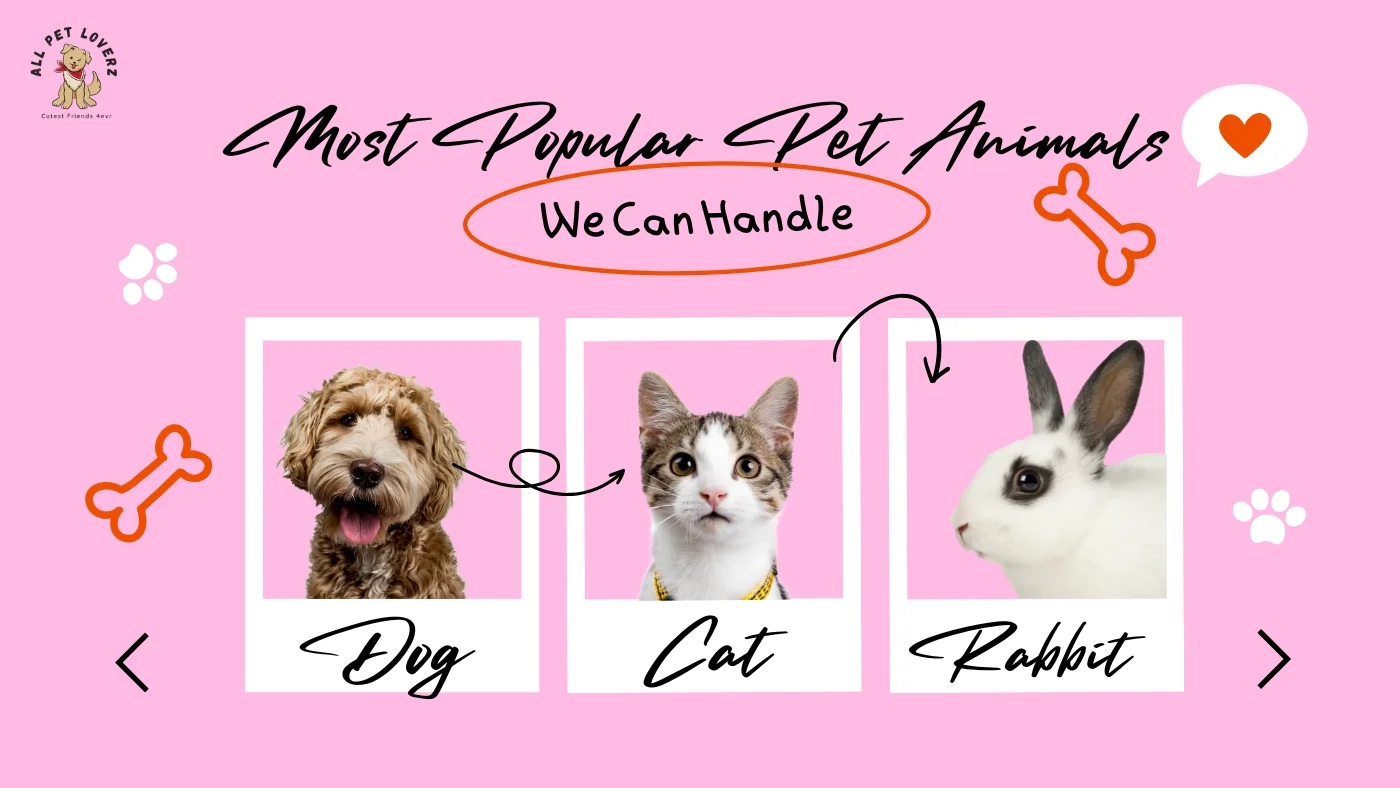 Most Popular Pet Animals in the world