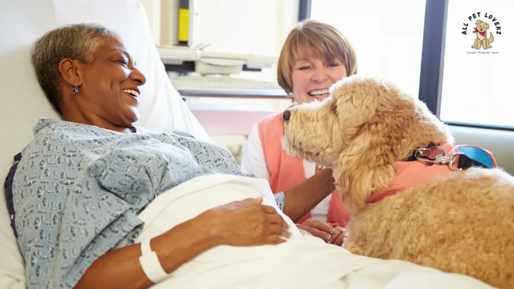 Mental Benefits of having a pet