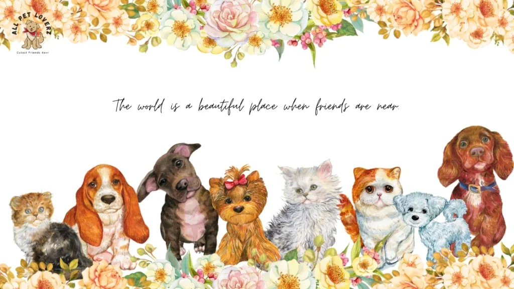 Pet Animals