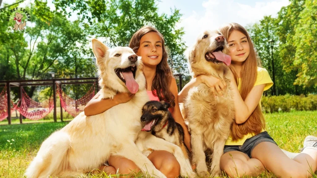 Pet Friendlyness