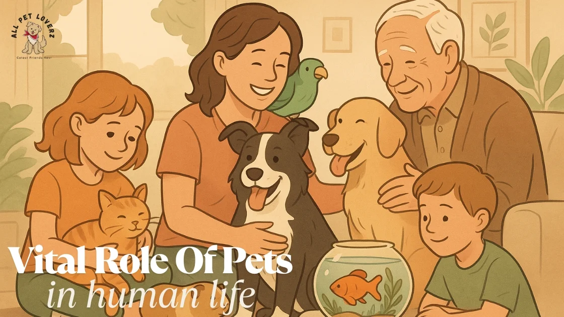 Vital Role Of Pets in human life